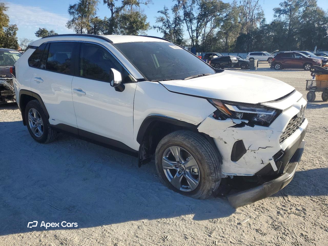 Toyota RAV 4 2025