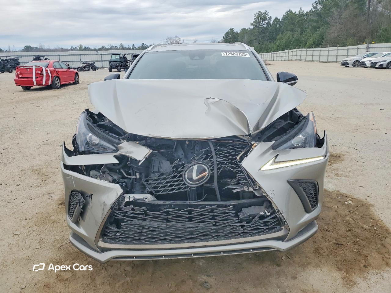 Lexus NX 2020
