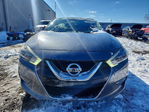 Nissan Maxima 2016