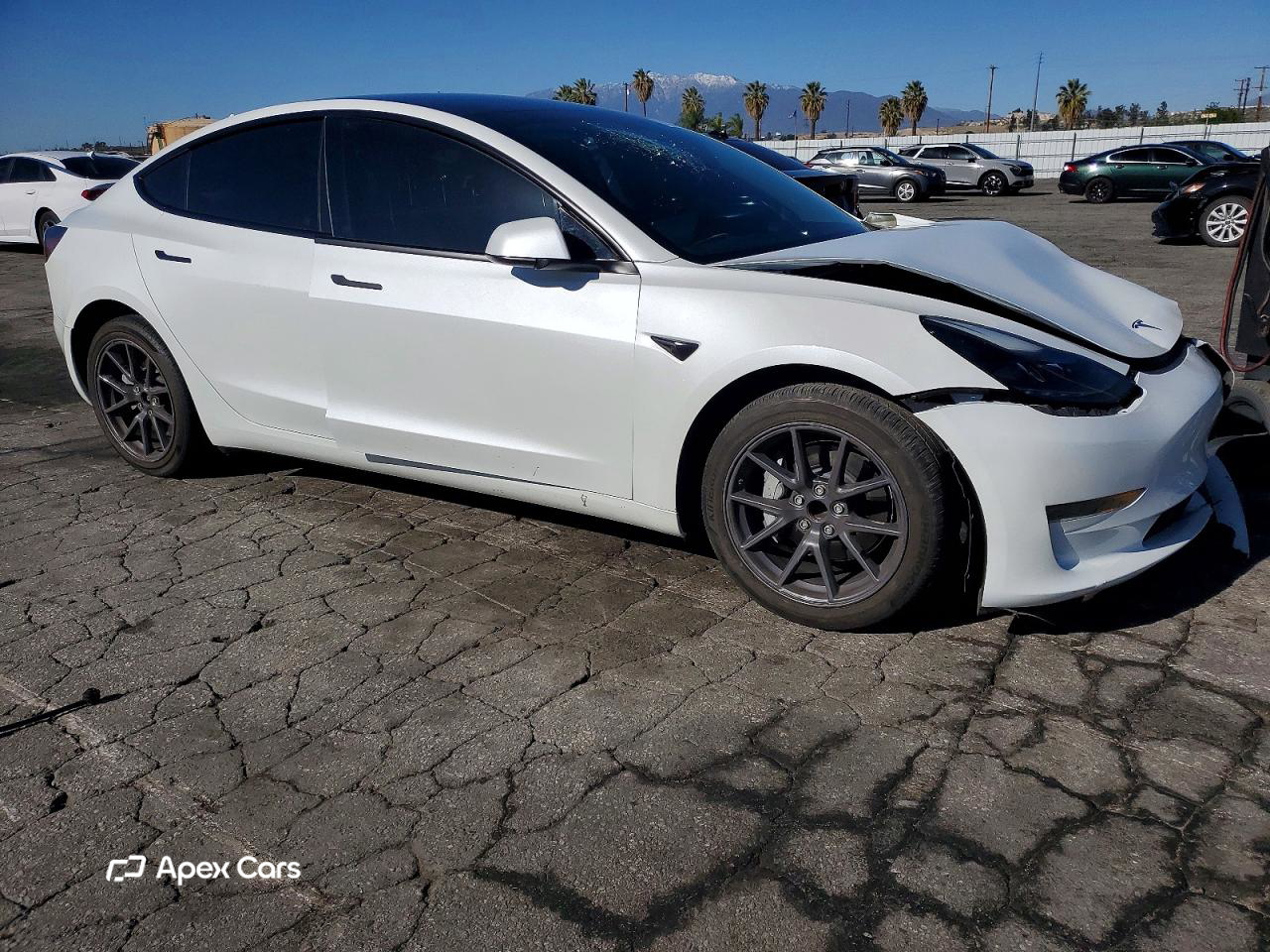 Tesla Model 3 2023