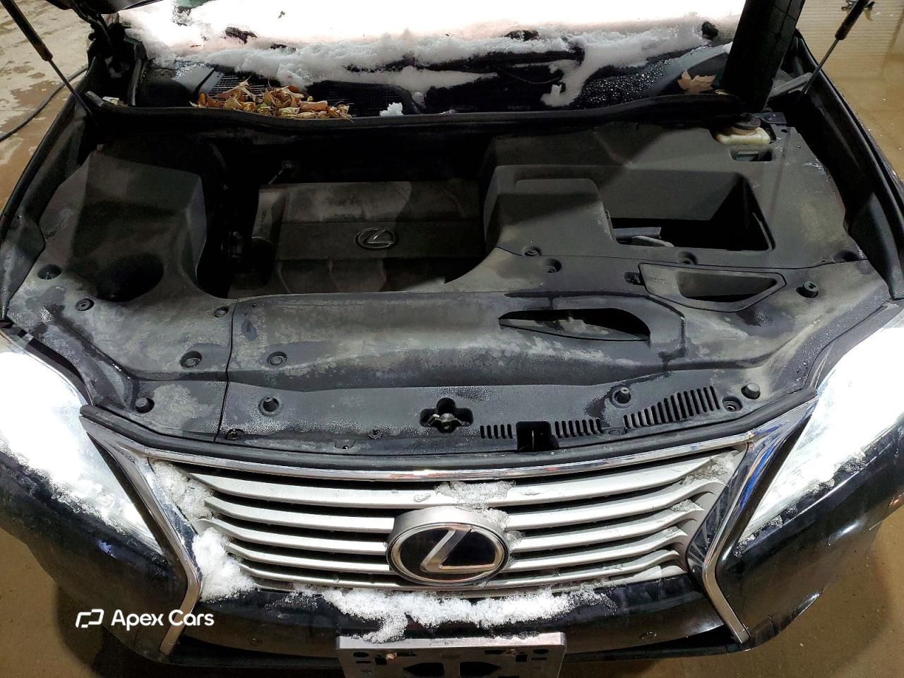 Lexus RX 2015