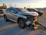 Lexus RX 2021