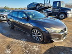 Nissan Maxima 2016