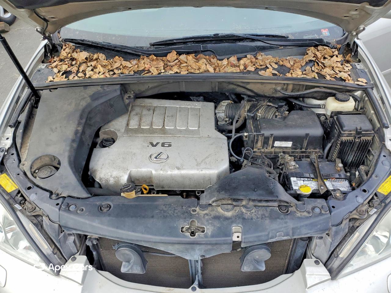 Lexus RX 2008