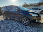 Ford Escape 2013