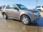 Ford Escape 2009