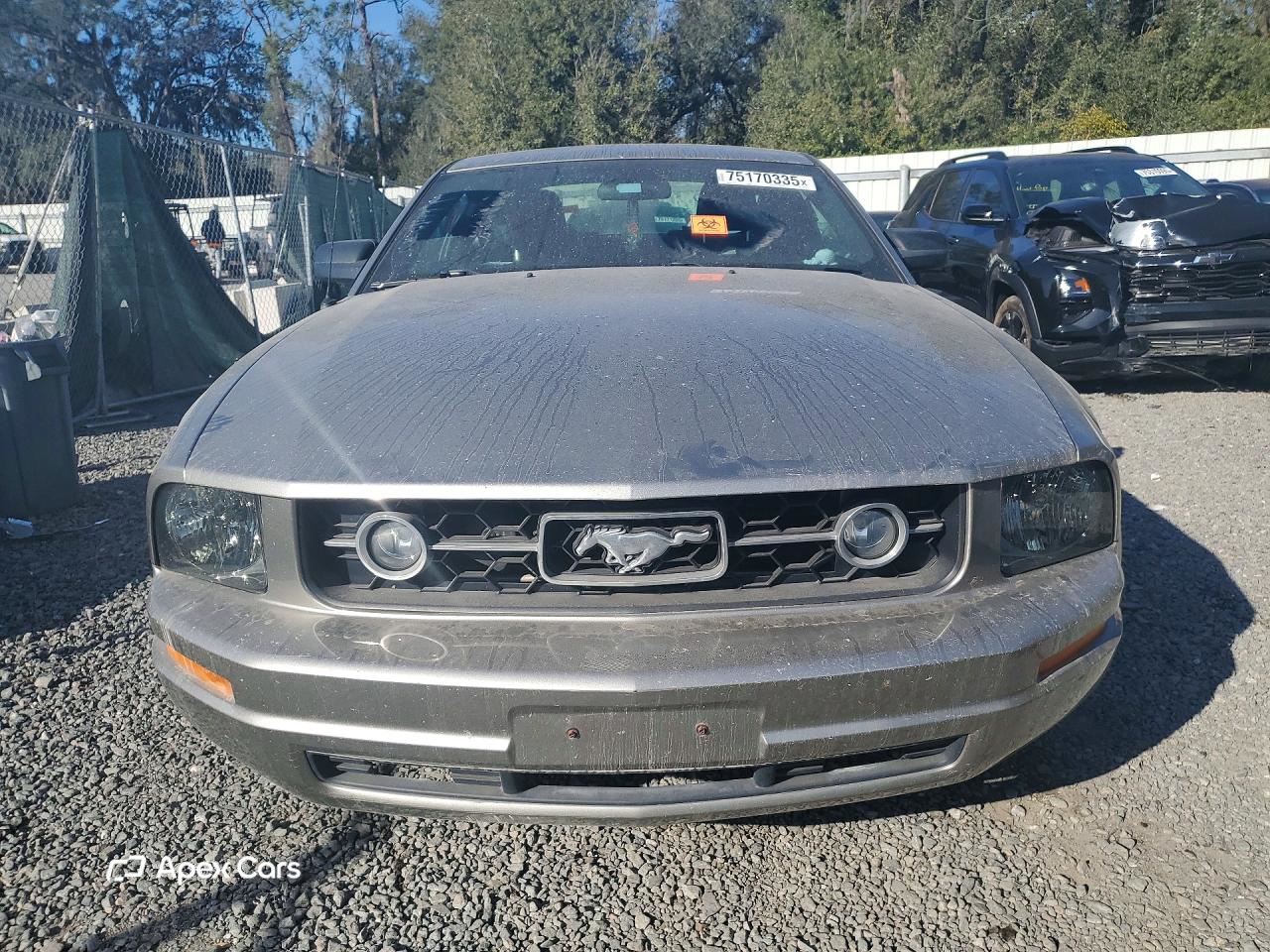 Ford Mustang 2008