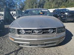 Ford Mustang 2008