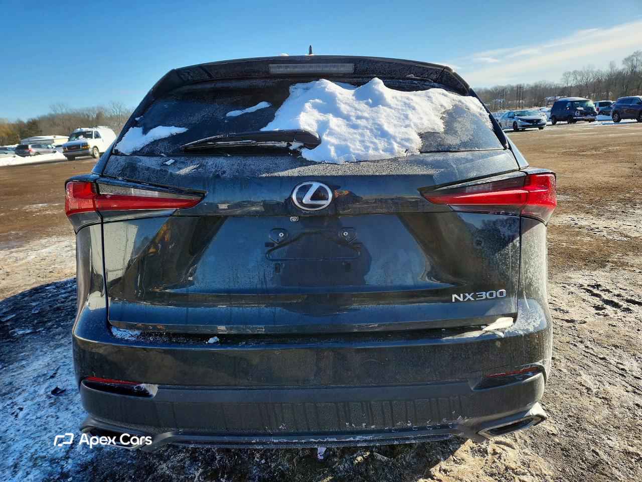 Lexus NX 2019