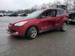 Ford Escape 2014