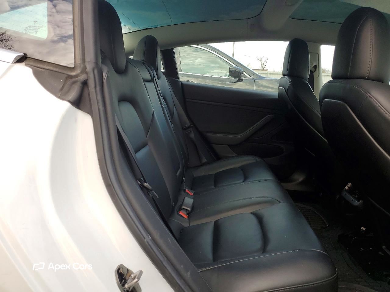 Tesla Model 3 2019