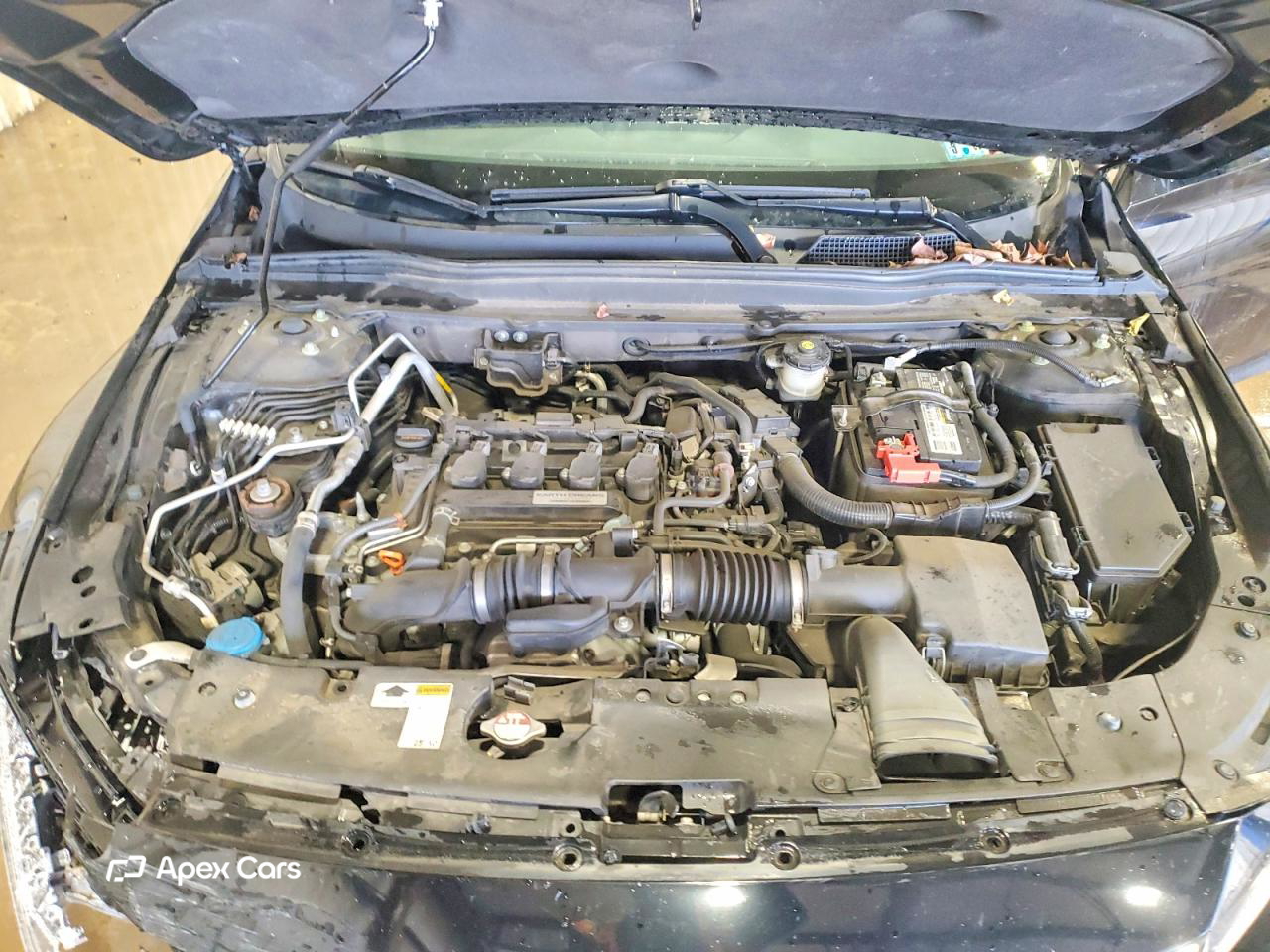 Honda Accord 2019
