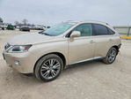 Lexus RX 2013
