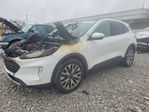 Ford Escape 2020