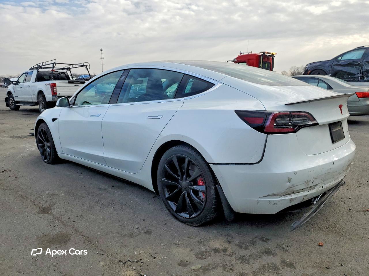 Tesla Model 3 2019