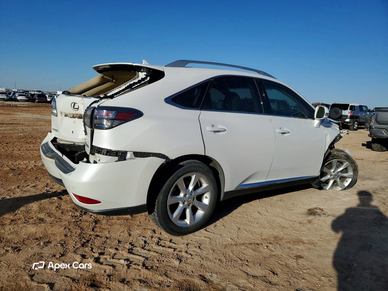 Lexus RX 2010