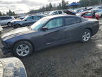 Dodge Charger 2014