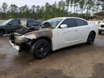 Dodge Charger 2019