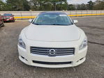 Maxima 2010