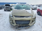Ford Escape 2013