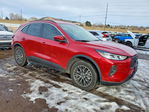 Ford Escape 2024