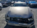 Ford Mustang 2008