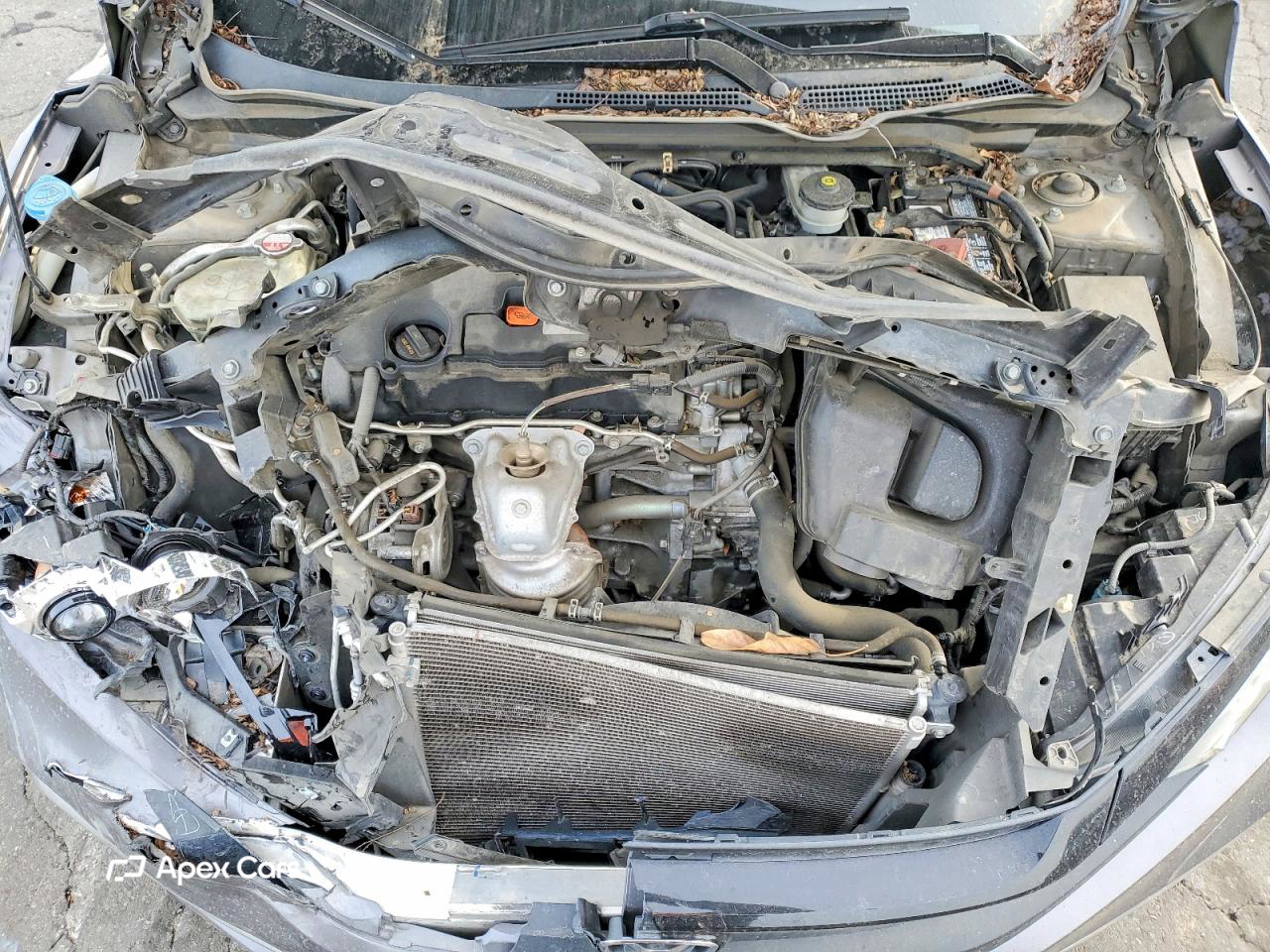Honda Civic 2019