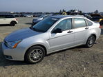 Ford Focus 2010
