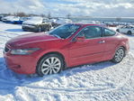 Honda Accord 2010