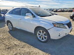 Lexus RX 2010