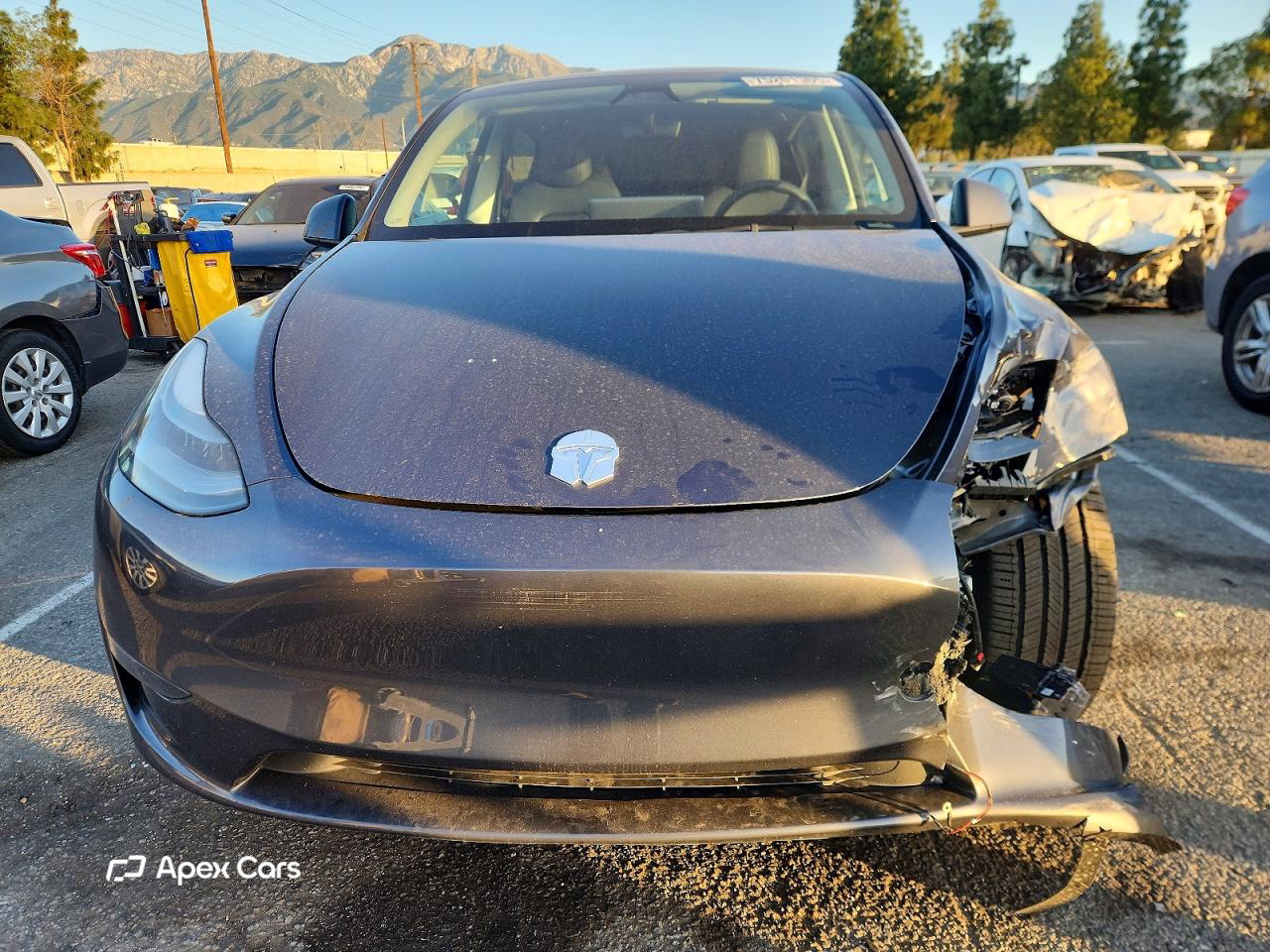 Tesla Model Y 2023
