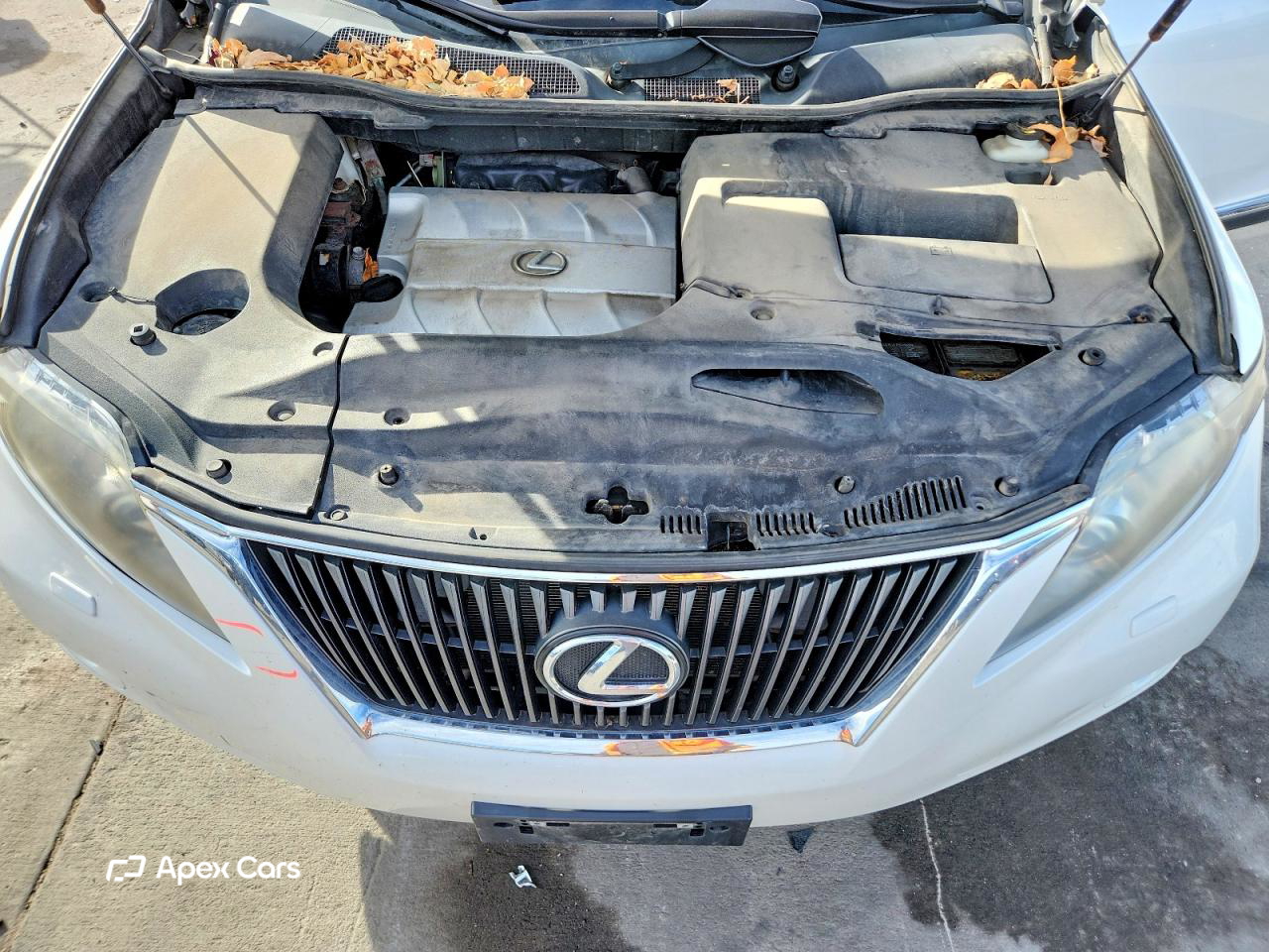 Lexus RX 2010