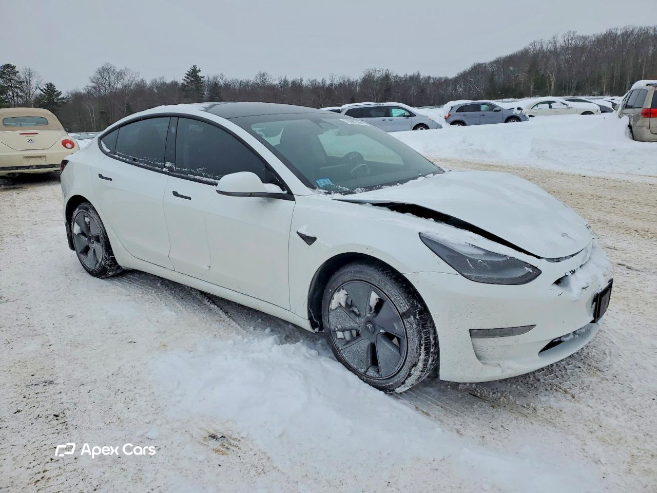 Tesla Model 3 2022