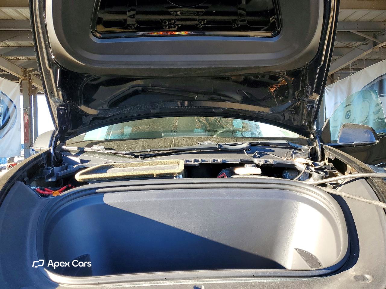 Tesla Model Y 2020