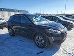 Ford Escape 2020