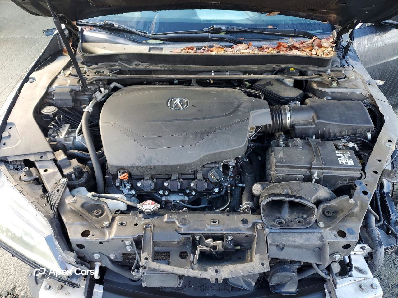 Acura TLX 2015