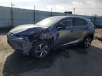 Lexus NX 2021