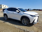 Lexus NX 2025