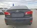 Lexus IS 2010