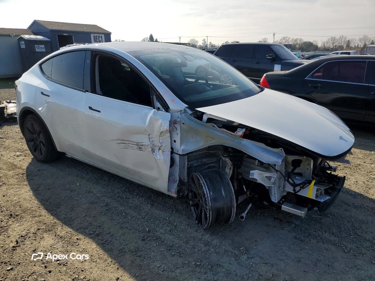 Tesla Model Y 2025