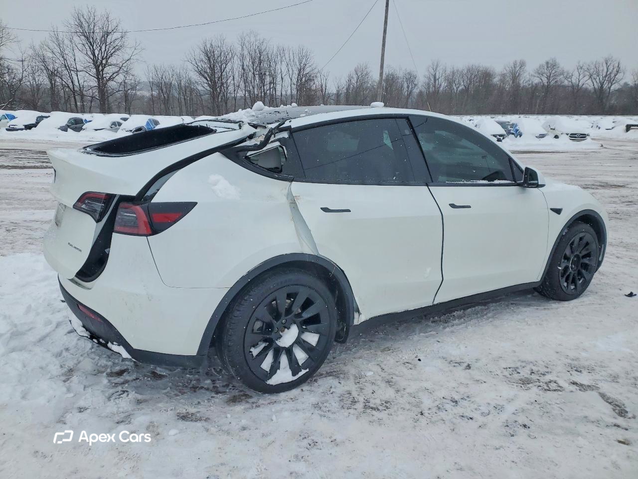 Tesla Model Y 2023