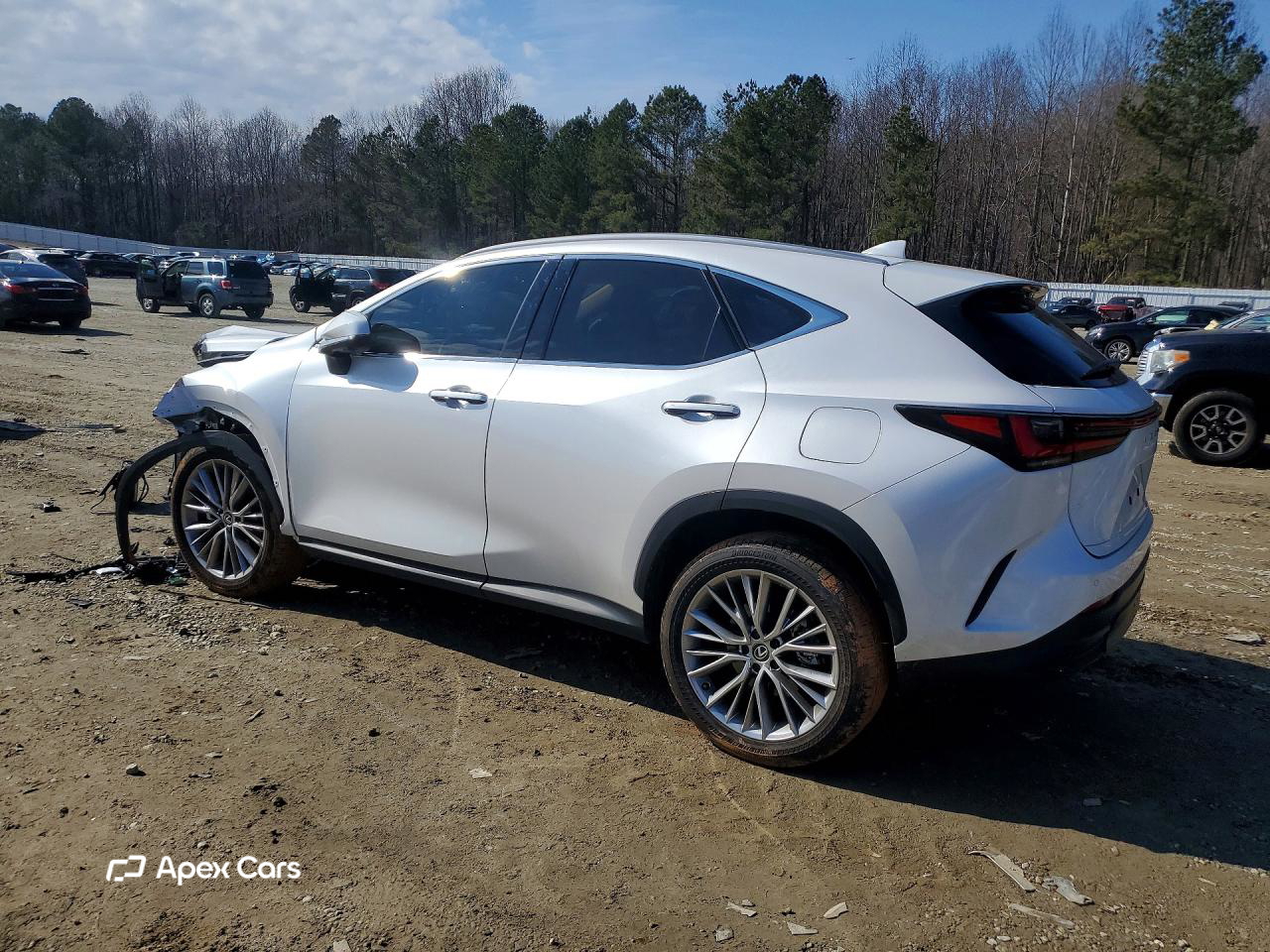 Lexus NX 2025