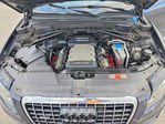 Audi Q5 2010