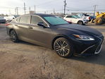 Lexus ES 2024