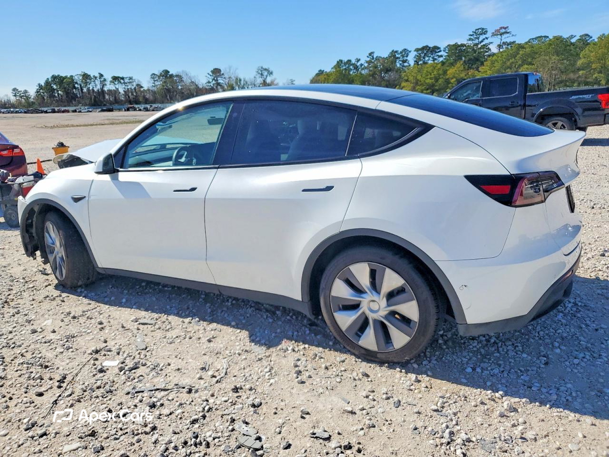 Tesla Model Y 2020