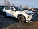 Toyota RAV 4 2024