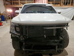 Ford Expedition 2020