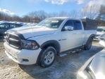 Dodge RAM 2010