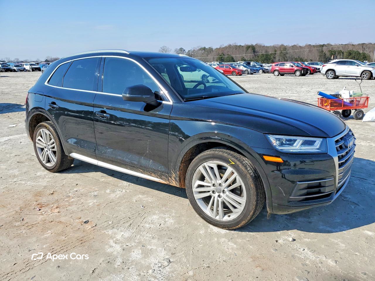 Audi Q5 2019