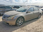 Nissan Maxima 2007